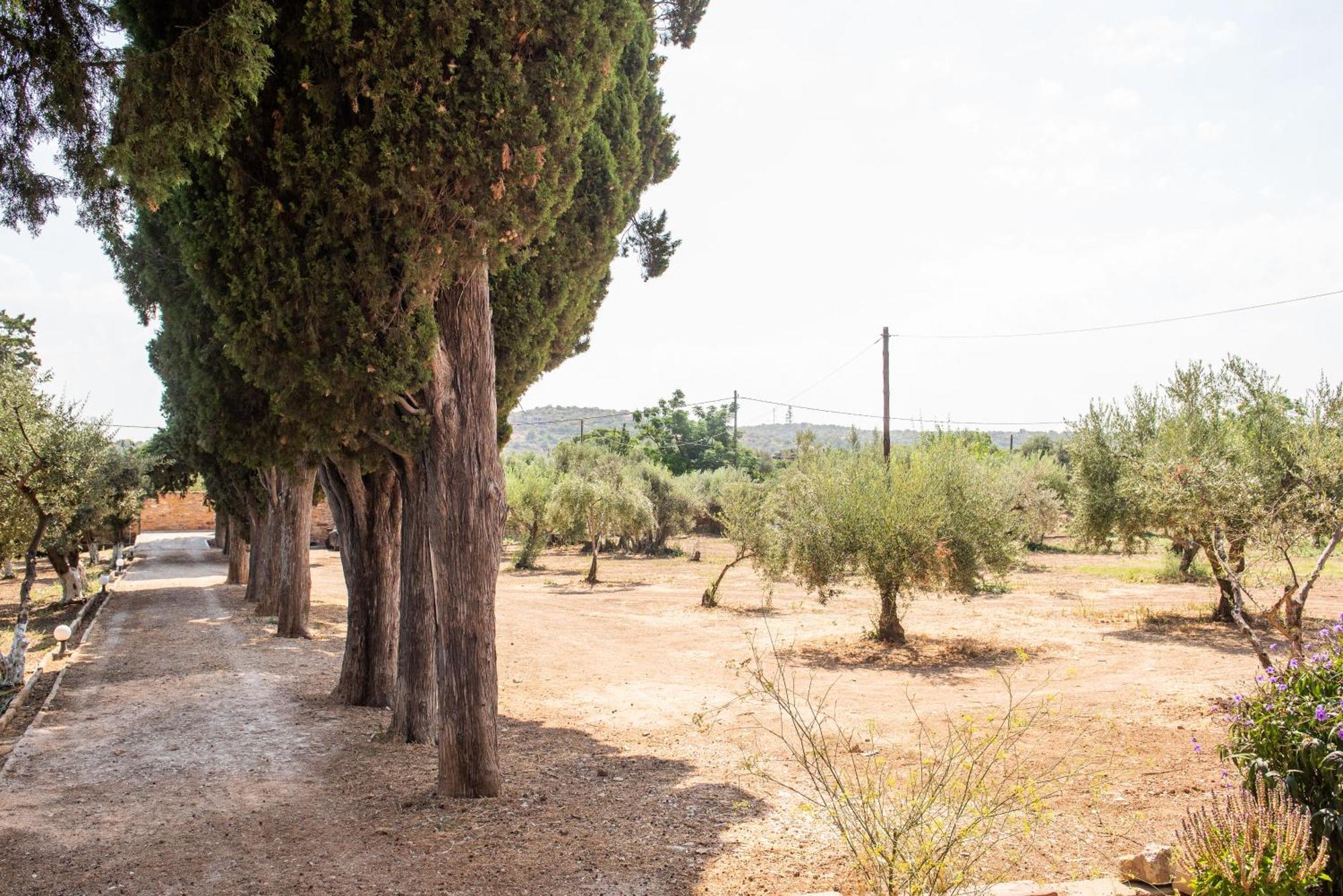 Calvocoressi Estate Chios Town Bagian luar foto