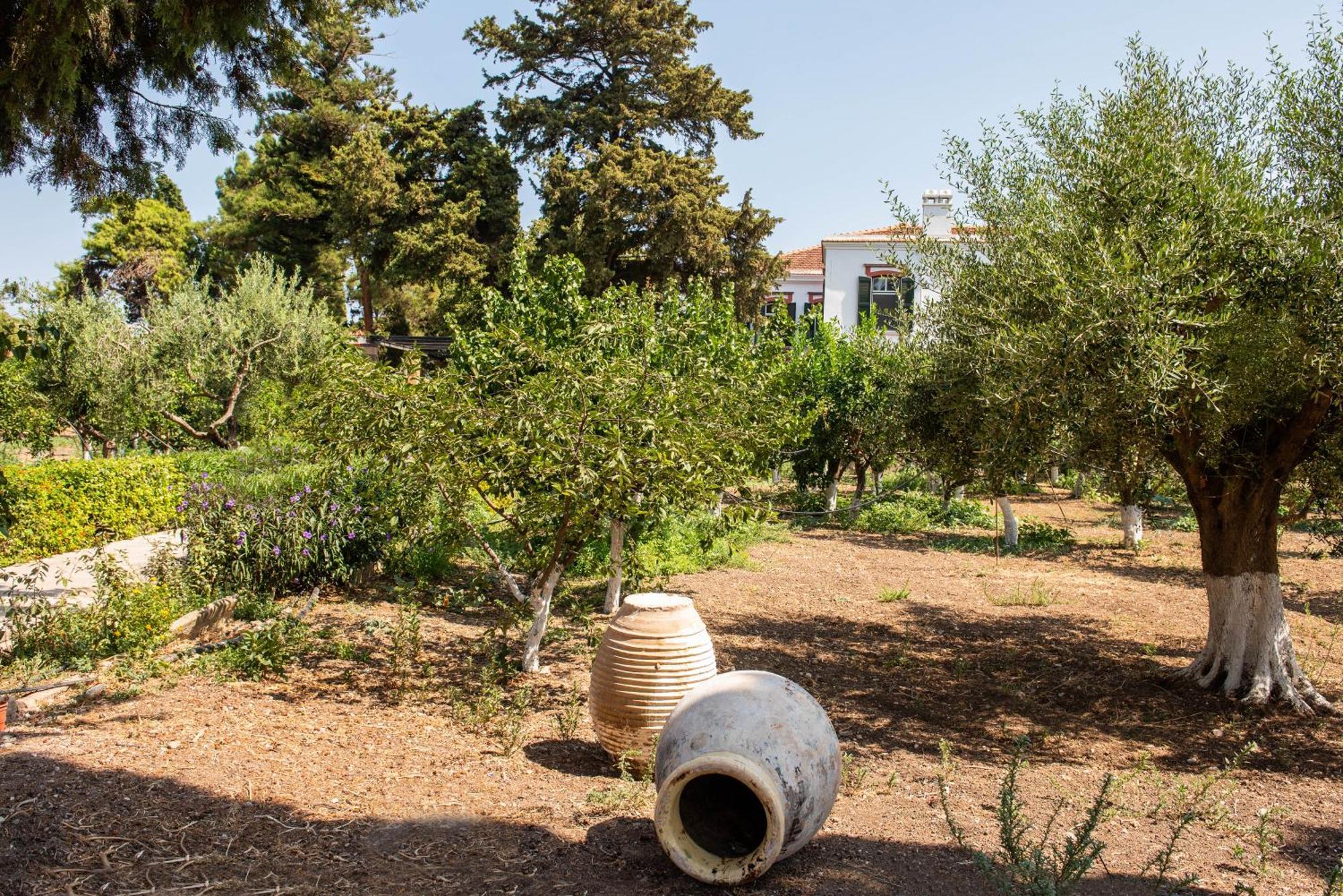 Calvocoressi Estate Chios Town Bagian luar foto