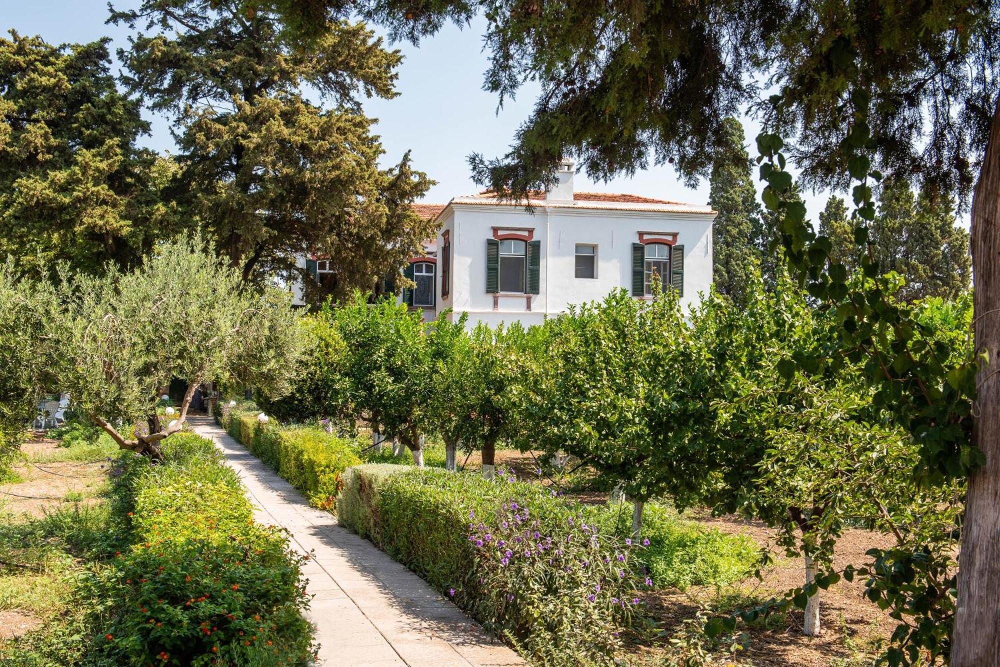 Calvocoressi Estate Chios Town Bagian luar foto