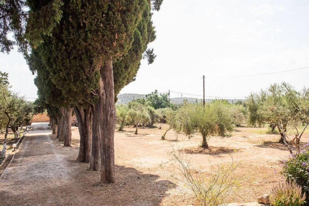 Calvocoressi Estate Chios Town Bagian luar foto