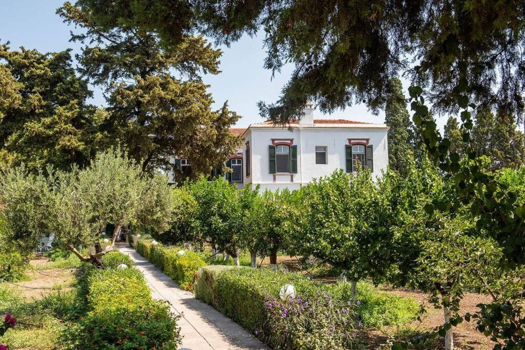 Calvocoressi Estate Chios Town Bagian luar foto